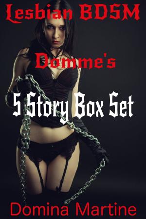 Cover of Lesbian BDSM Domme's: 5 Story Box Set