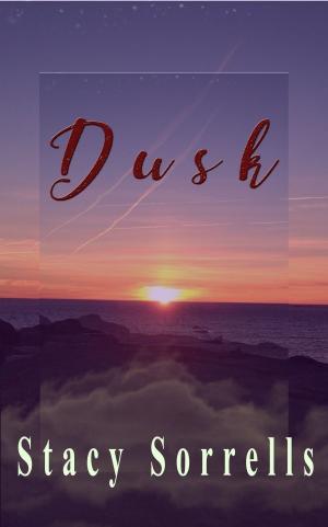 Cover of the book Dusk by Katryn Ali