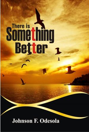 Book cover of There Is Something Better