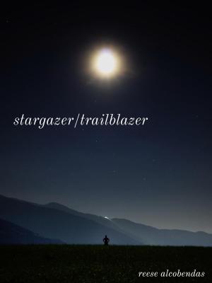 Cover of the book Stargazer/Trailblazer by D'Elen McClain