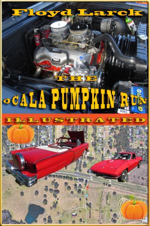 Book cover of The Ocala Pumpkin Run Illustrated