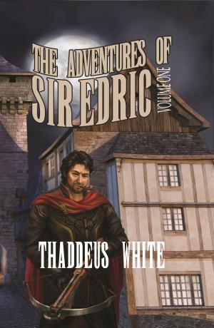 Book cover of The Adventures of Sir Edric