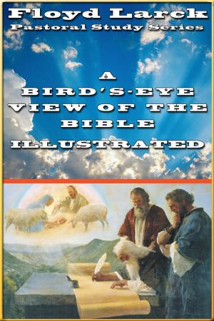 Cover of A Bird’s-Eye View of the Bible Illustrated