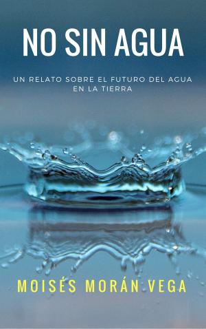 Cover of the book No sin agua by Moisés Morán Vega