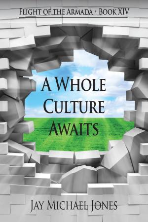 Cover of 14 A Whole Culture Awaits