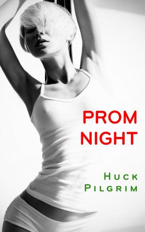 Cover of the book Prom Night by Robert J. Smith