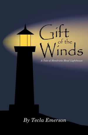 bigCover of the book Gift of the Winds (A Tale of Hendricks Head Lighthouse) by 