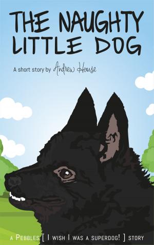 bigCover of the book The Naughty Little Dog by 
