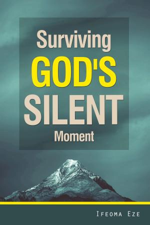 Book cover of Surviving God's Silent Moment