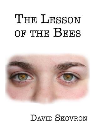 Cover of the book The Lesson Of The Bees by Björn Drobe