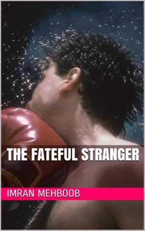 bigCover of the book The Fateful Stranger by 