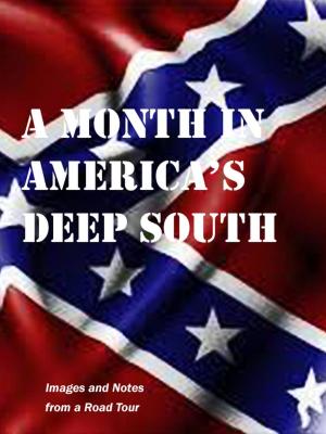 Cover of A Month in The Deep South