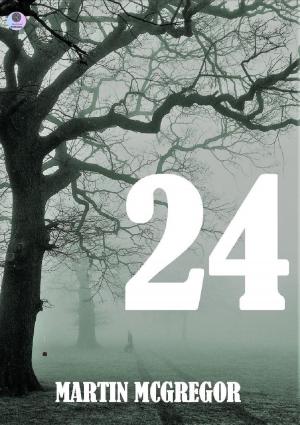 Cover of the book 24 by Amily Clark