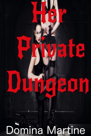 Book cover of Her Private Dungeon