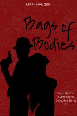 Cover of the book Bags of Bodies by AB Stonebridge