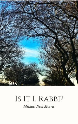 Book cover of Is It I, Rabbi?