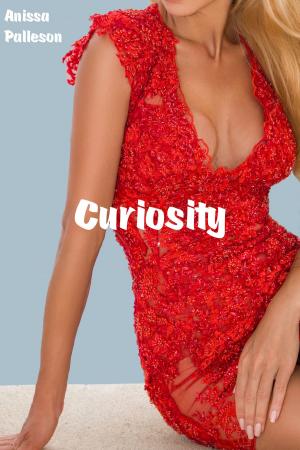 Cover of the book Curiosity by Anissa Palleson
