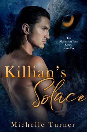 Book cover of Killian's Solace