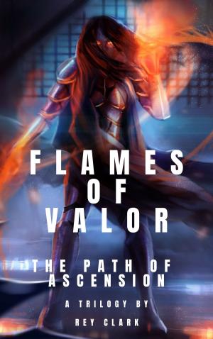 Cover of the book Flames of Valor by Michael C. Madden