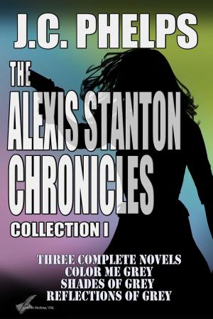 Cover of the book The Alexis Stanton Chronicles Collection One by D. J. Ridgway