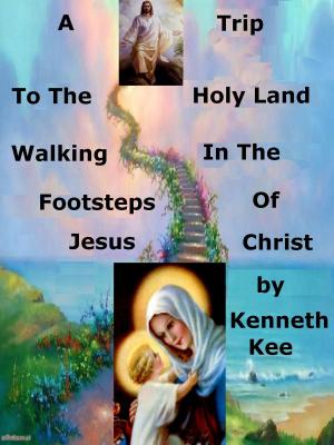 Book cover of A Trip To The Holy Land, Walking In The Footsteps Of Jesus Christ