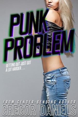 Book cover of Punk Problem