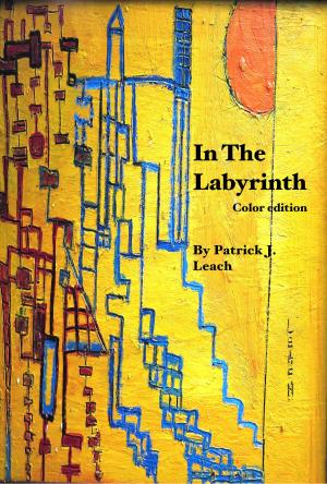 Cover of the book In The Labyrinth by Nurdan Damla