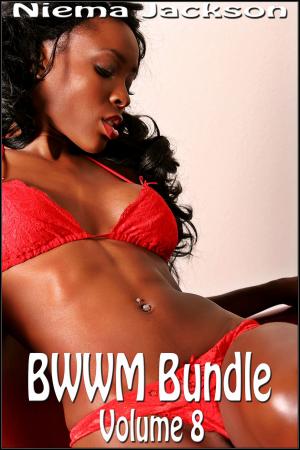 Cover of the book BWWM Bundle: Volume 8 by Niema Jackson