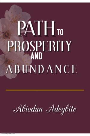 Cover of the book Path to Prosperity and Abundance by Juan M. Perez