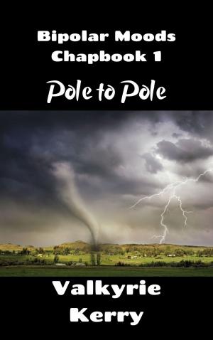 Cover of the book Bipolar Moods Chapbook 1: Pole to Pole by Jeff Brown
