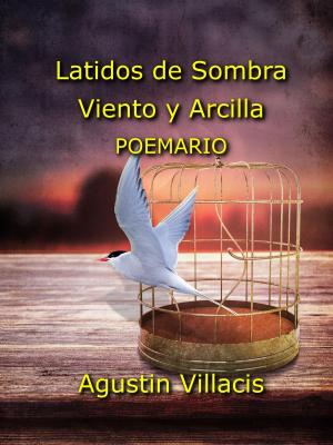 Cover of the book Latidos de sombra viento y arcilla by C.A.Dayhoff