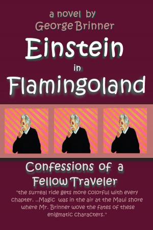 Cover of the book Einstein in Flamingoland: Confessions of a Fellow Traveler by Stephanie Ayers