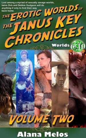 Cover of the book The Erotic Worlds of the Janus Key Chronicles vol. 2 by Jennifer Scoullar