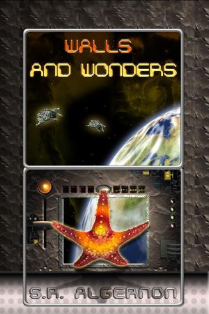 Cover of the book Walls and Wonders by Andrew Gray