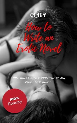 Cover of the book How to Write an Erotic Novel by Diana McKinley