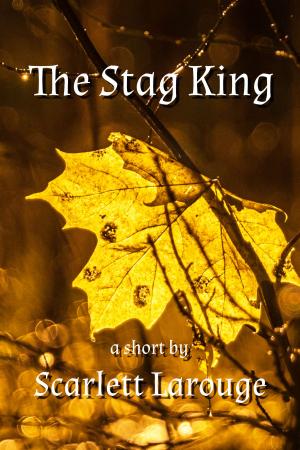 Cover of the book The Stag King by Ava Grace
