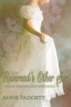 Cover of the book The Reverend's Other Son by G M Lincoln