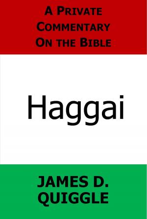 Cover of the book A Private Commentary on the Bible: Haggai by James D. Quiggle