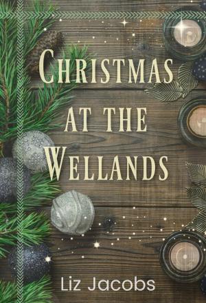 Book cover of Christmas at the Wellands