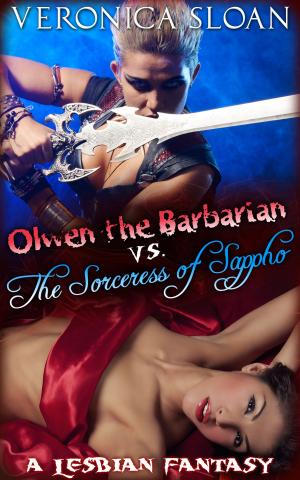 bigCover of the book Olwen the Barbarian vs. The Sorceress of Sappho: A Lesbian Fantasy by 