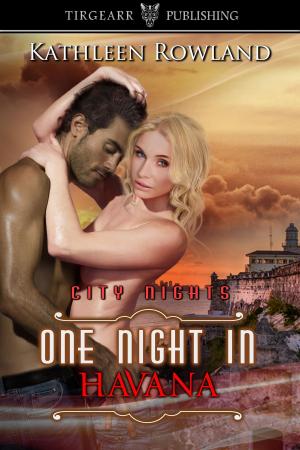Cover of the book One Night in Havana by Mary T Bradford