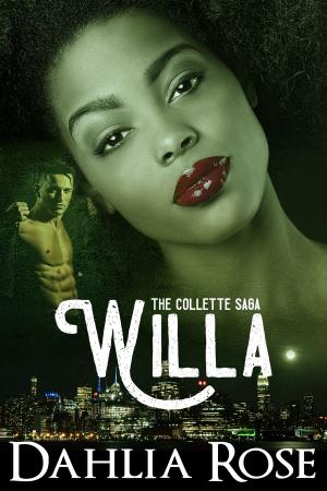Cover of The Collettes Saga 'Willa'