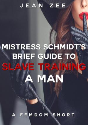 Book cover of Mistress Schmidt’s Brief Guide to Slave Training a Man
