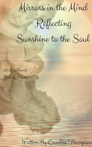 Book cover of Mirrors in the Mind Reflecting Sunshine to the Soul