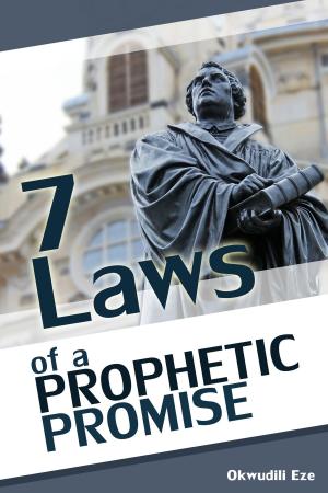 Cover of the book 7 Laws of a Prophetic Promise by Okwudili Eze