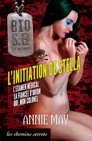 Cover of the book L'Initiation de Stella by Hector Malot