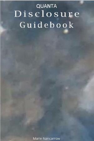 Cover of the book Quanta Disclosure Guidebook by David McHenry