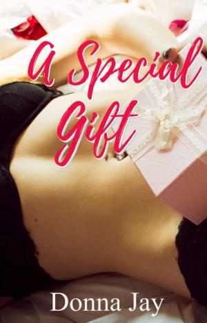 Cover of the book A Special Gift by Jerry White