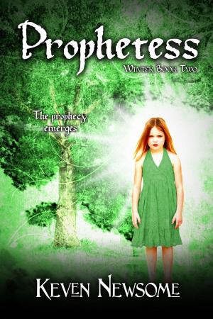 Cover of the book Prophetess by Michael Minick