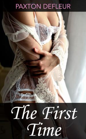 Cover of the book The First Time by Zoe Melville